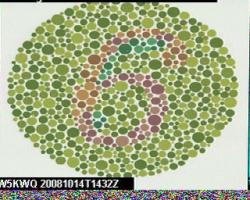 Cor PD0RKC - Holland - Img 1