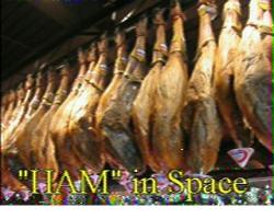 HAM in SPACE