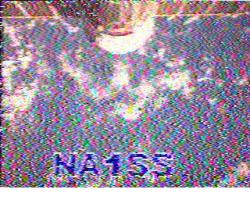 SSTV OVER CHINA